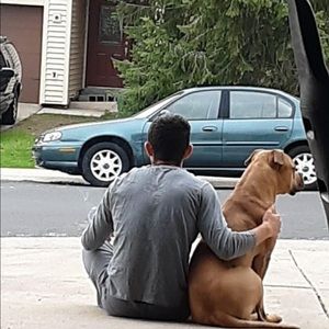 Meet your Posher, Dylan